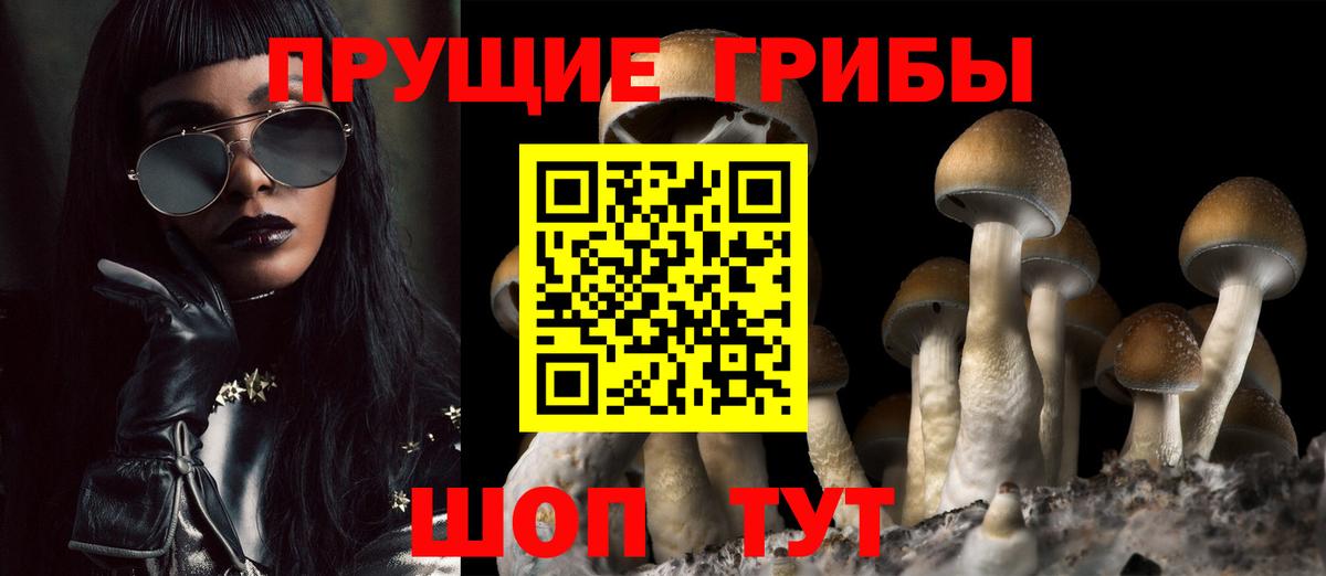 Галлюциногенные грибы ЛСД Похвистнево