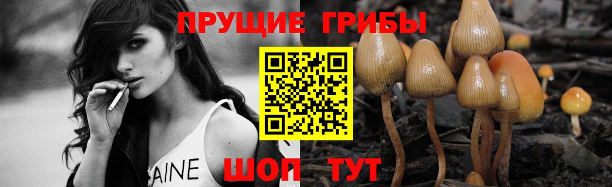 Галлюциногенные грибы прущие грибы  Галлюциногенные грибы мухоморы  Похвистнево  Вход с VPN 